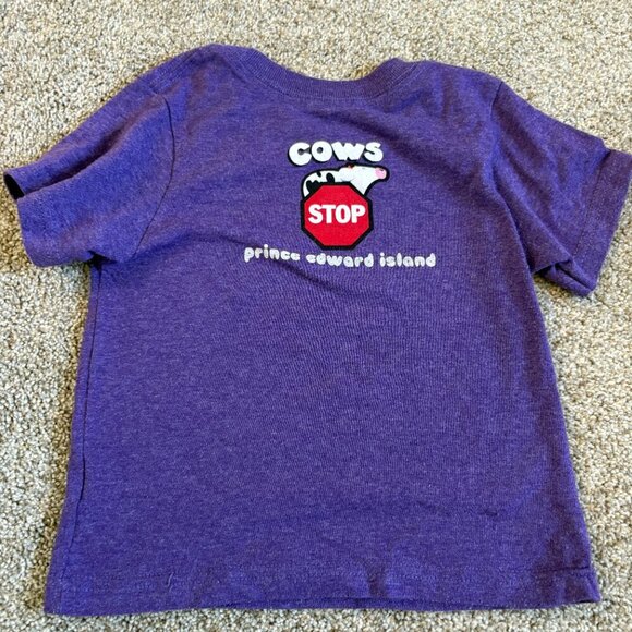 Cows Ice Cream PEI Parody T-shirt Graphic Tee School Bus Purple Size 2 Toddler - Picture 5 of 5